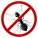 Pest Control services in Fort Lauderdale, FL