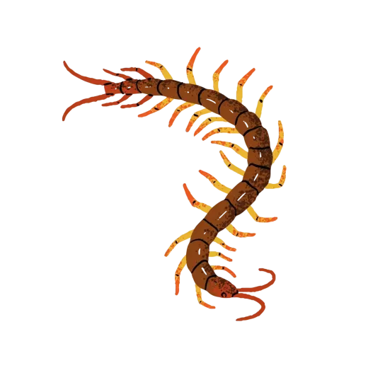 Pest Control services in Fort Lauderdale, FL