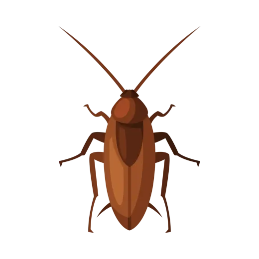 Roach Pest Control services in Fort Lauderdale, FL